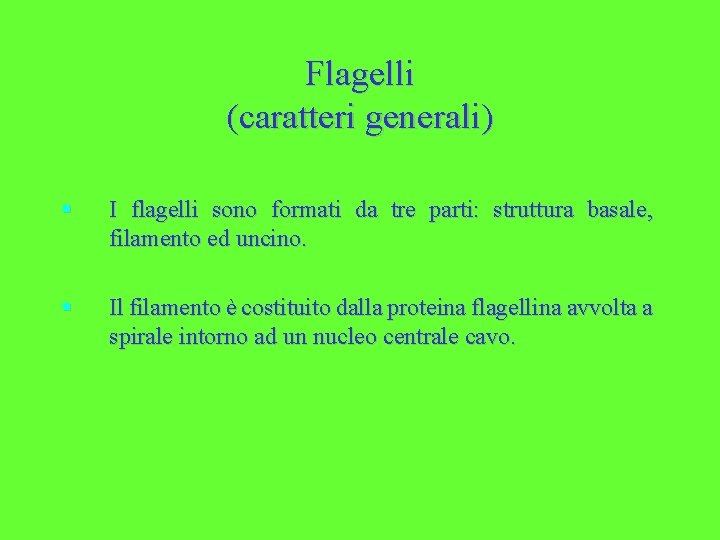 Flagelli (caratteri generali) § I flagelli sono formati da tre parti: struttura basale, filamento