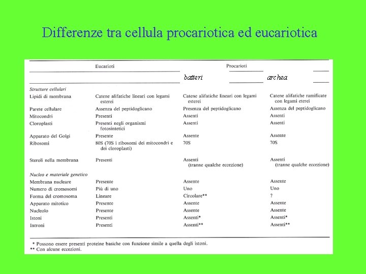 Differenze tra cellula procariotica ed eucariotica batteri archea 