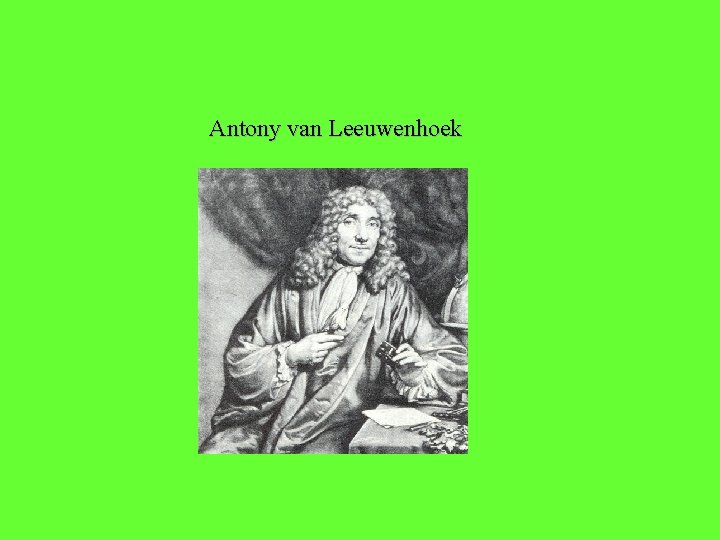 Antony van Leeuwenhoek 