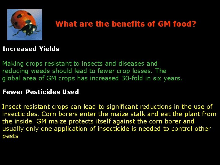 What are the benefits of GM food? Increased Yields Making crops resistant to insects