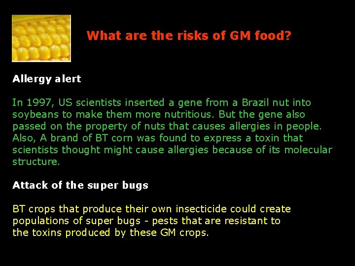 What are the risks of GM food? Allergy alert In 1997, US scientists inserted
