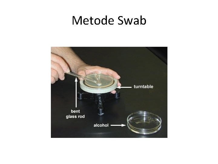 Metode Swab 