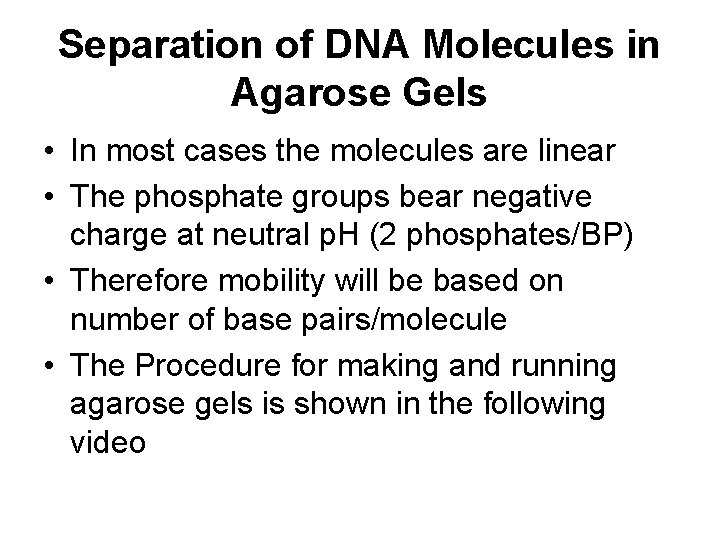 Separation of DNA Molecules in Agarose Gels • In most cases the molecules are