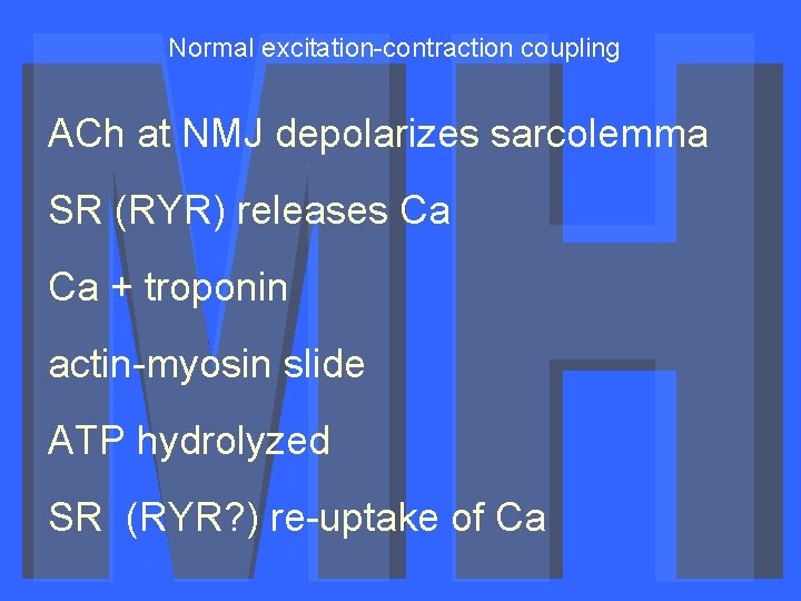 Normal excitation-contraction coupling ACh at NMJ depolarizes sarcolemma SR (RYR) releases Ca Ca +