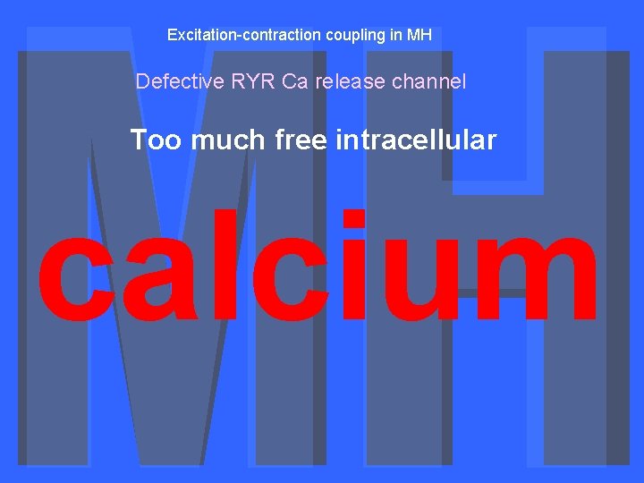 Excitation-contraction coupling in MH Defective RYR Ca release channel Too much free intracellular calcium