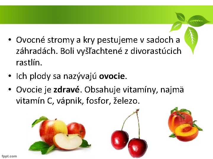  • Ovocné stromy a kry pestujeme v sadoch a záhradách. Boli vyšľachtené z