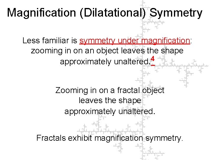Magnification (Dilatational) Symmetry Less familiar is symmetry under magnification: zooming in on an object