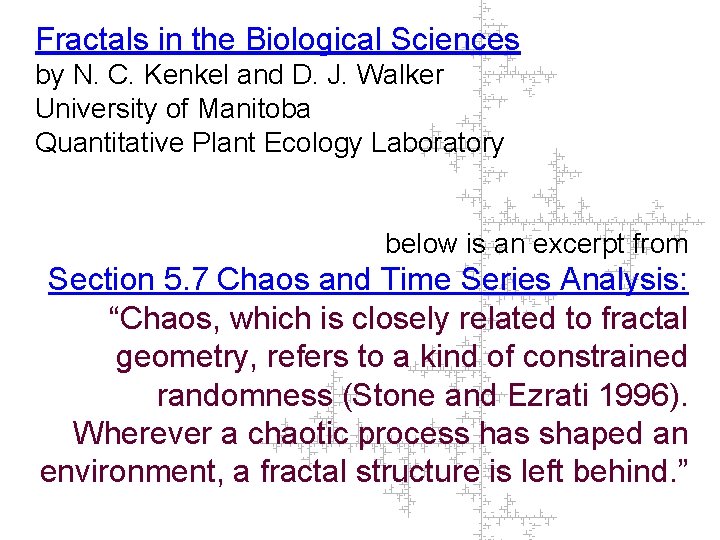 Fractals in the Biological Sciences by N. C. Kenkel and D. J. Walker University
