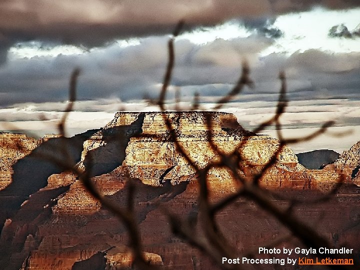 Photo by Gayla Chandler Post Processing by Kim Letkeman 
