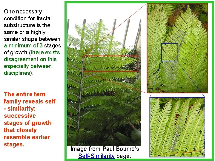 One necessary condition for fractal substructure is the same or a highly similar shape