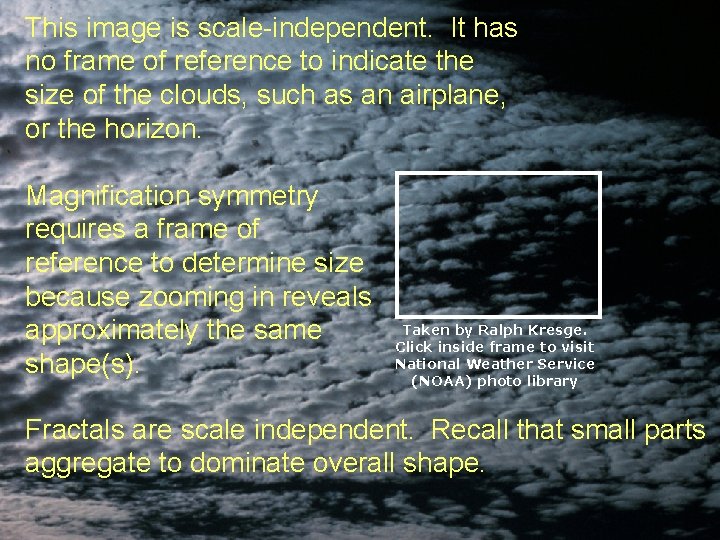 This image is scale-independent. It has no frame of reference to indicate the size