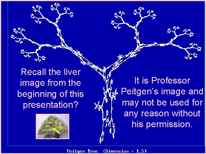 Recall the liver image from the beginning of this presentation? It is Professor Peitgen’s