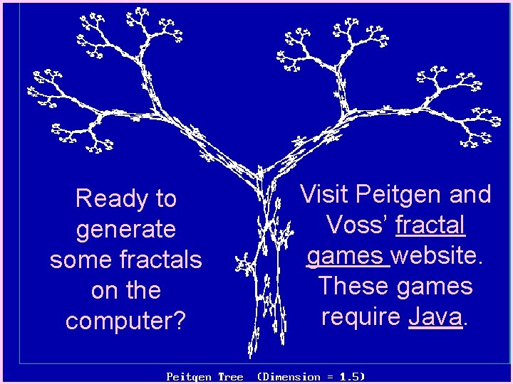 Ready to generate some fractals on the computer? Visit Peitgen and Voss’ fractal games