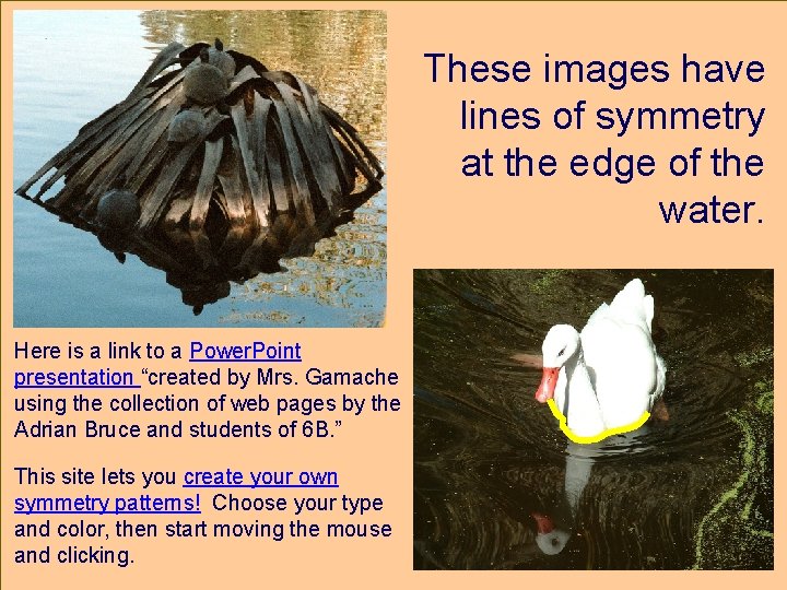 These images have lines of symmetry at the edge of the water. Here is