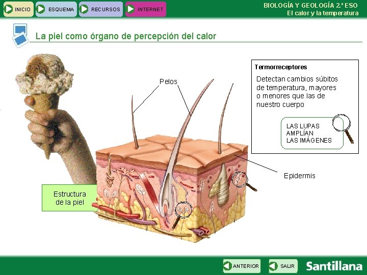 INICIO ESQUEMA RECURSOS BIOLOGÍA Y GEOLOGÍA 2. º ESO El calor y la temperatura