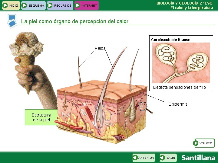 INICIO ESQUEMA RECURSOS BIOLOGÍA Y GEOLOGÍA 2. º ESO El calor y la temperatura