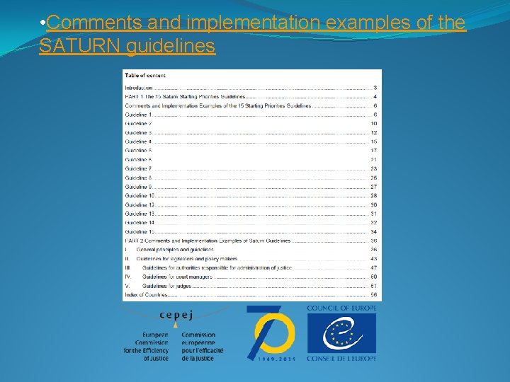  • Comments and implementation examples of the SATURN guidelines 