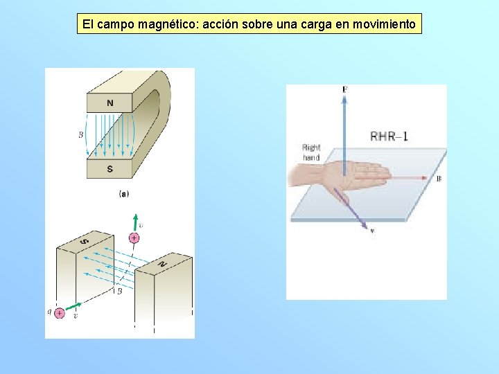 El campo magnético: acción sobre una carga en movimiento 