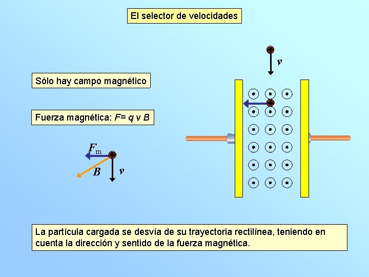El selector de velocidades v Sólo hay campo magnético Fuerza magnética: F= q v