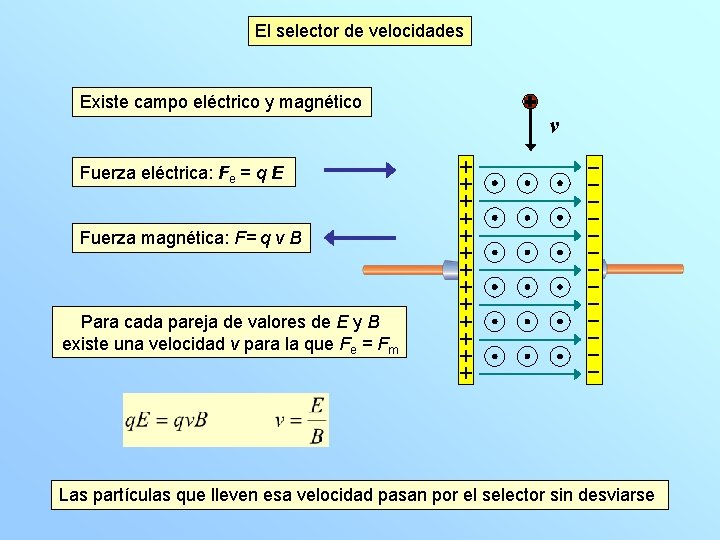 El selector de velocidades Existe campo eléctrico y magnético v Fuerza eléctrica: Fe =