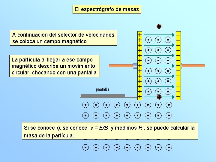 El espectrógrafo de masas A continuación del selector de velocidades se coloca un campo