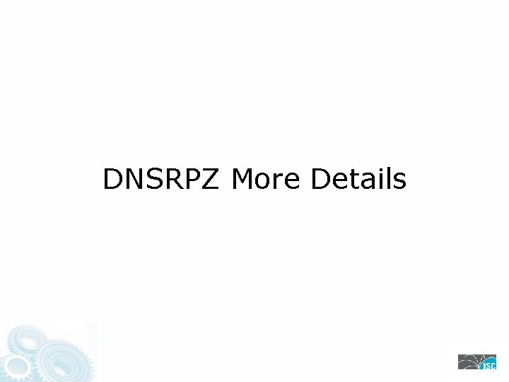 DNSRPZ More Details 