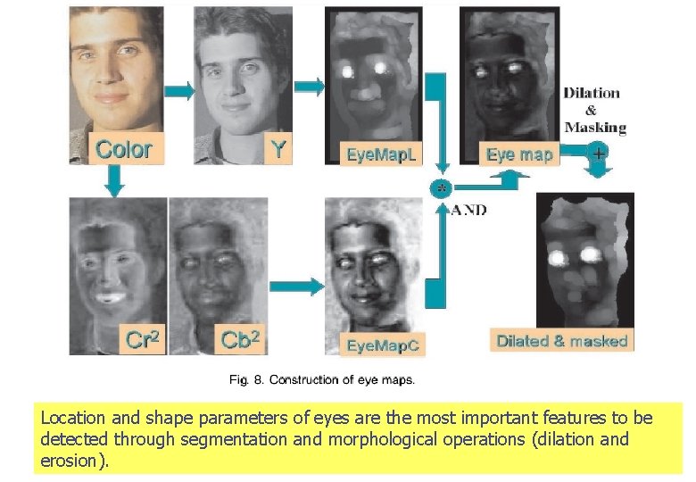 Location and shape parameters of eyes are the most important features to be detected