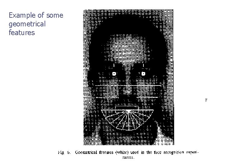 Example of some geometrical features 