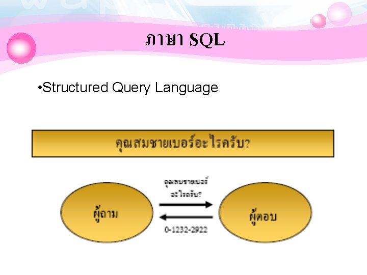 ภาษา SQL • Structured Query Language 