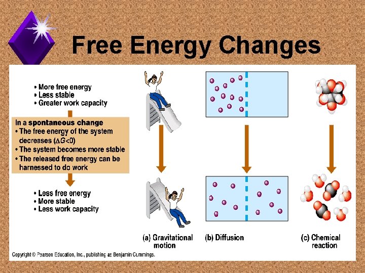 Free Energy Changes 