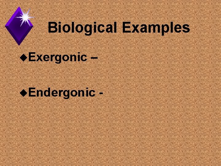 Biological Examples u. Exergonic – u. Endergonic - 