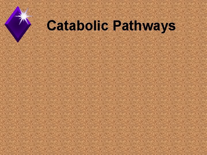 Catabolic Pathways 
