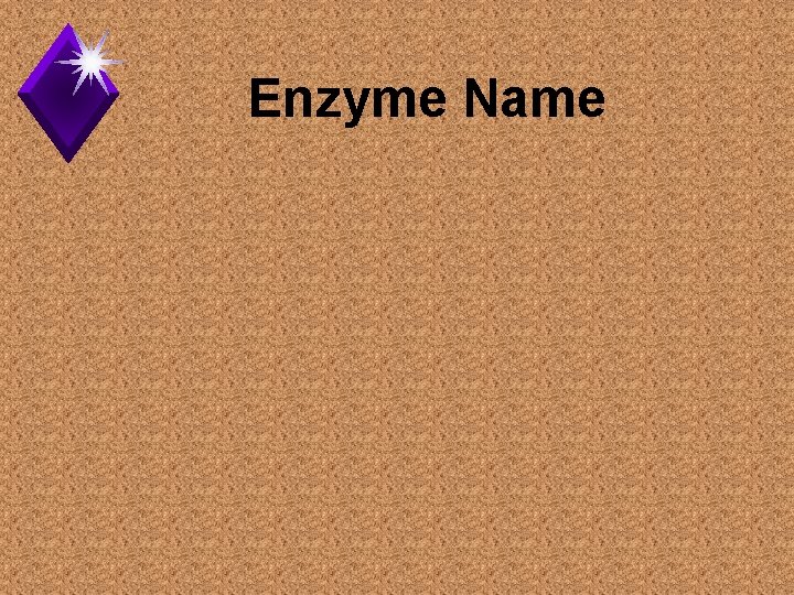 Enzyme Name 