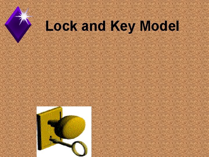 Lock and Key Model 