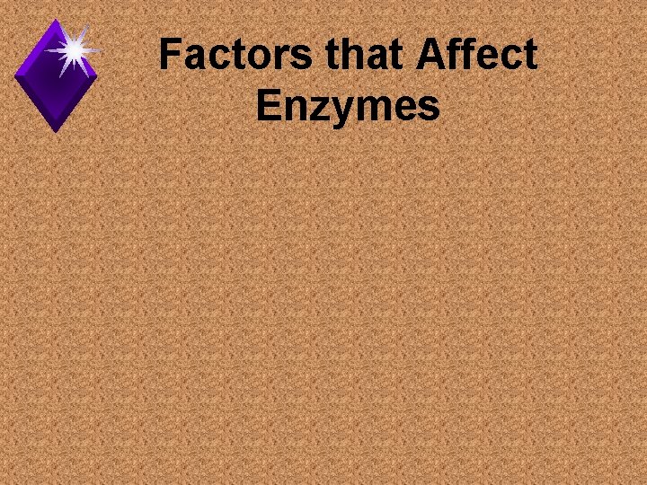 Factors that Affect Enzymes 