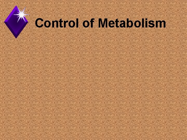 Control of Metabolism 