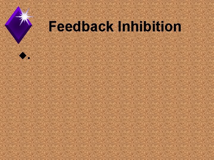 Feedback Inhibition u. 