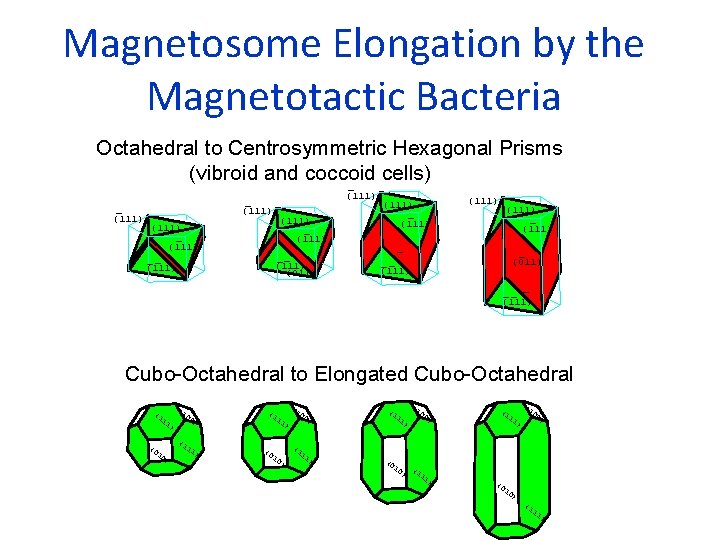 Magnetosome Elongation by the Magnetotactic Bacteria Octahedral to Centrosymmetric Hexagonal Prisms (vibroid and coccoid