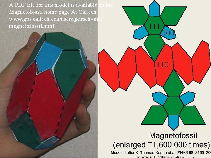 A PDF file for this model is available on the Magnetofossil home page At