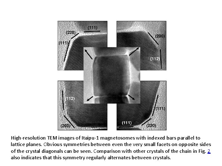 High-resolution TEM images of Itaipu-1 magnetosomes with indexed bars parallel to lattice planes. Obvious