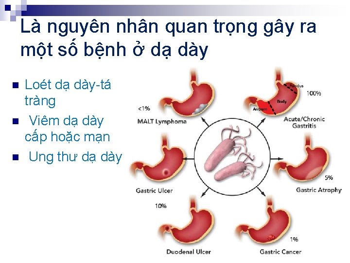 Là nguyên nhân quan trọng gây ra một số bệnh ở dạ dày n