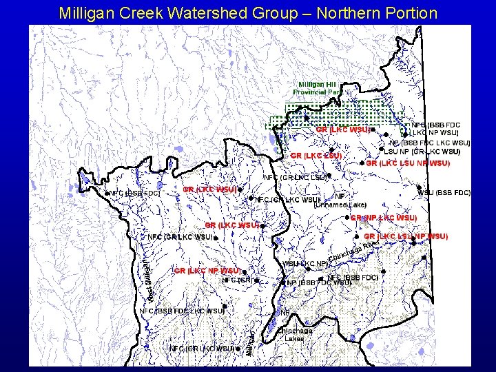 Milligan Creek Watershed Group – Northern Portion 