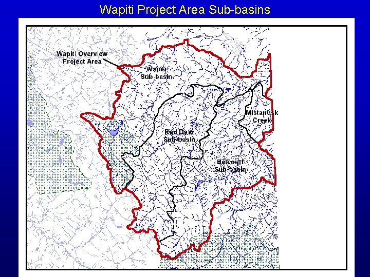 Wapiti Project Area Sub-basins 