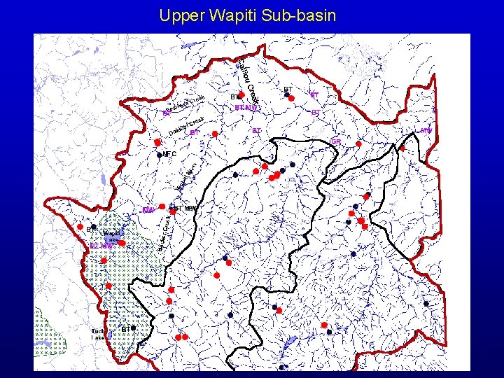 Upper Wapiti Sub-basin 