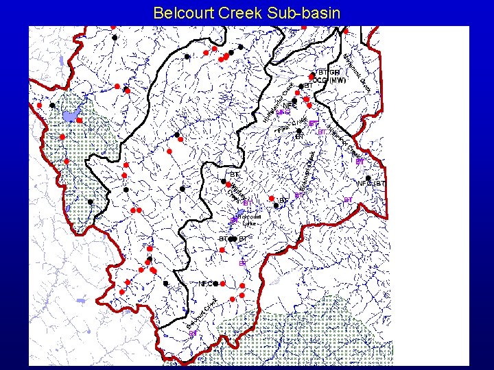 Belcourt Creek Sub-basin 