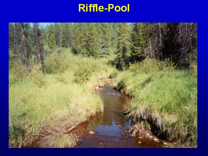 Riffle-Pool 