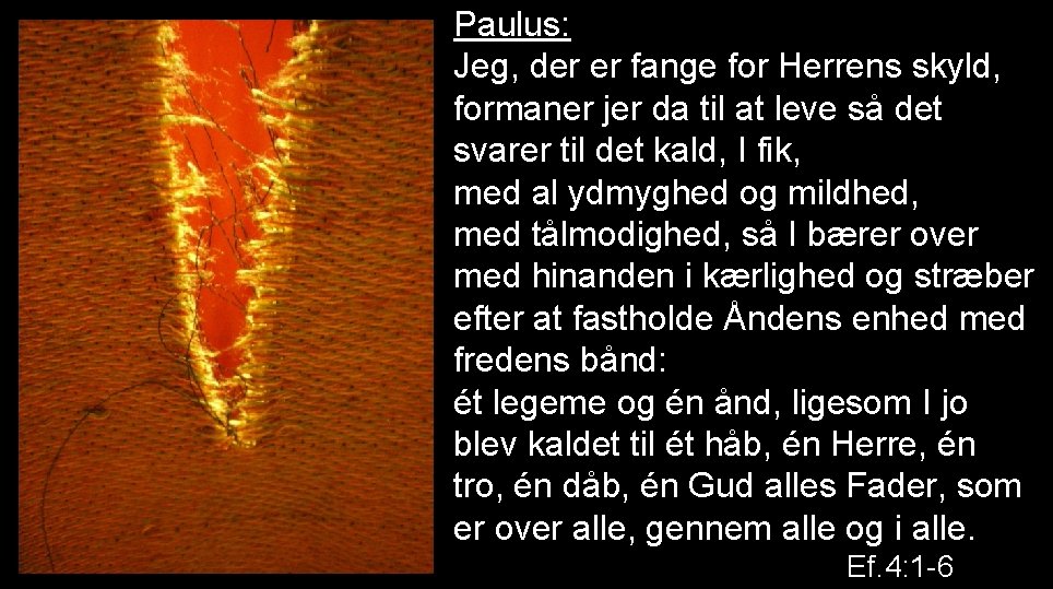 Paulus: Jeg, der er fange for Herrens skyld, formaner jer da til at leve