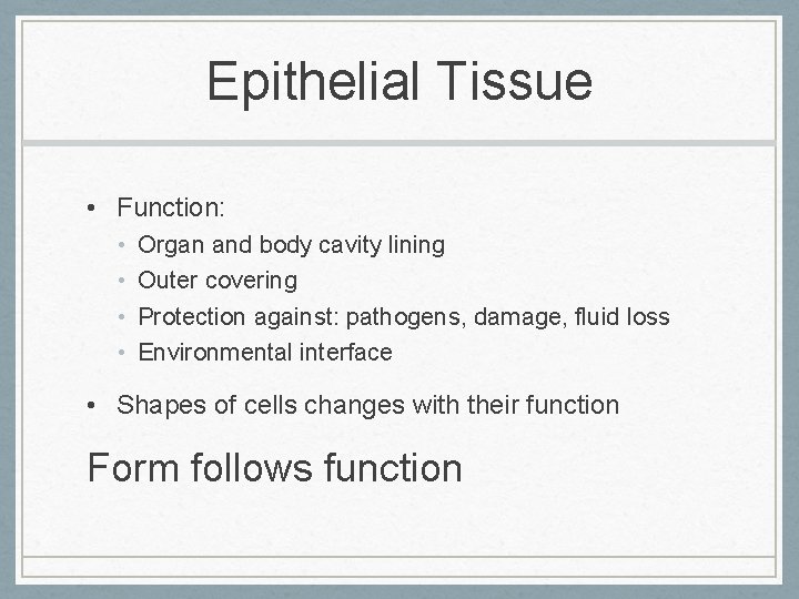 Epithelial Tissue • Function: • • Organ and body cavity lining Outer covering Protection
