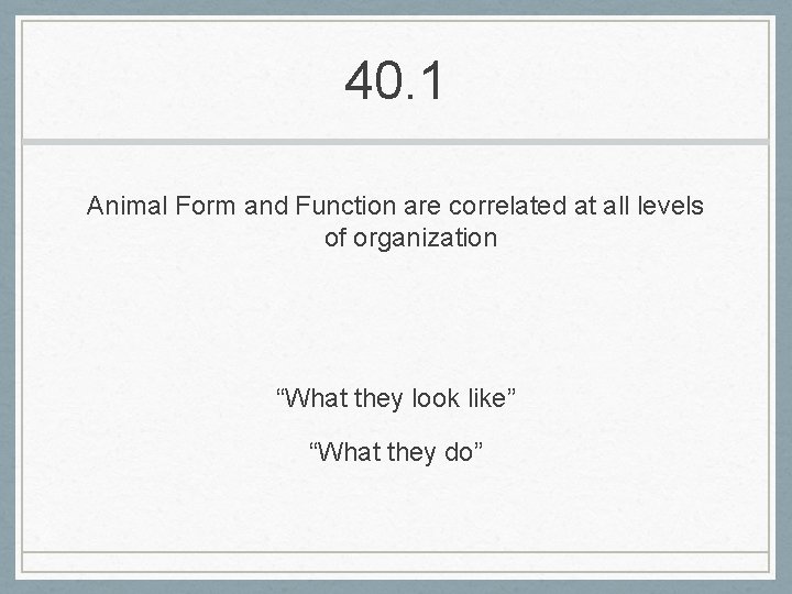40. 1 Animal Form and Function are correlated at all levels of organization “What