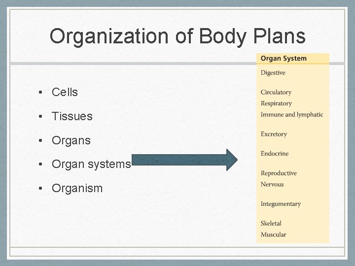Organization of Body Plans • Cells • Tissues • Organ systems • Organism 
